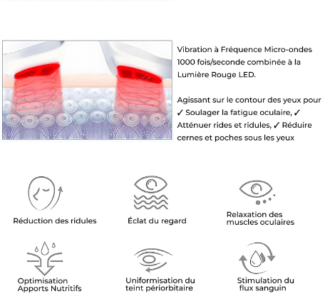 lunettes_ems_reviskin